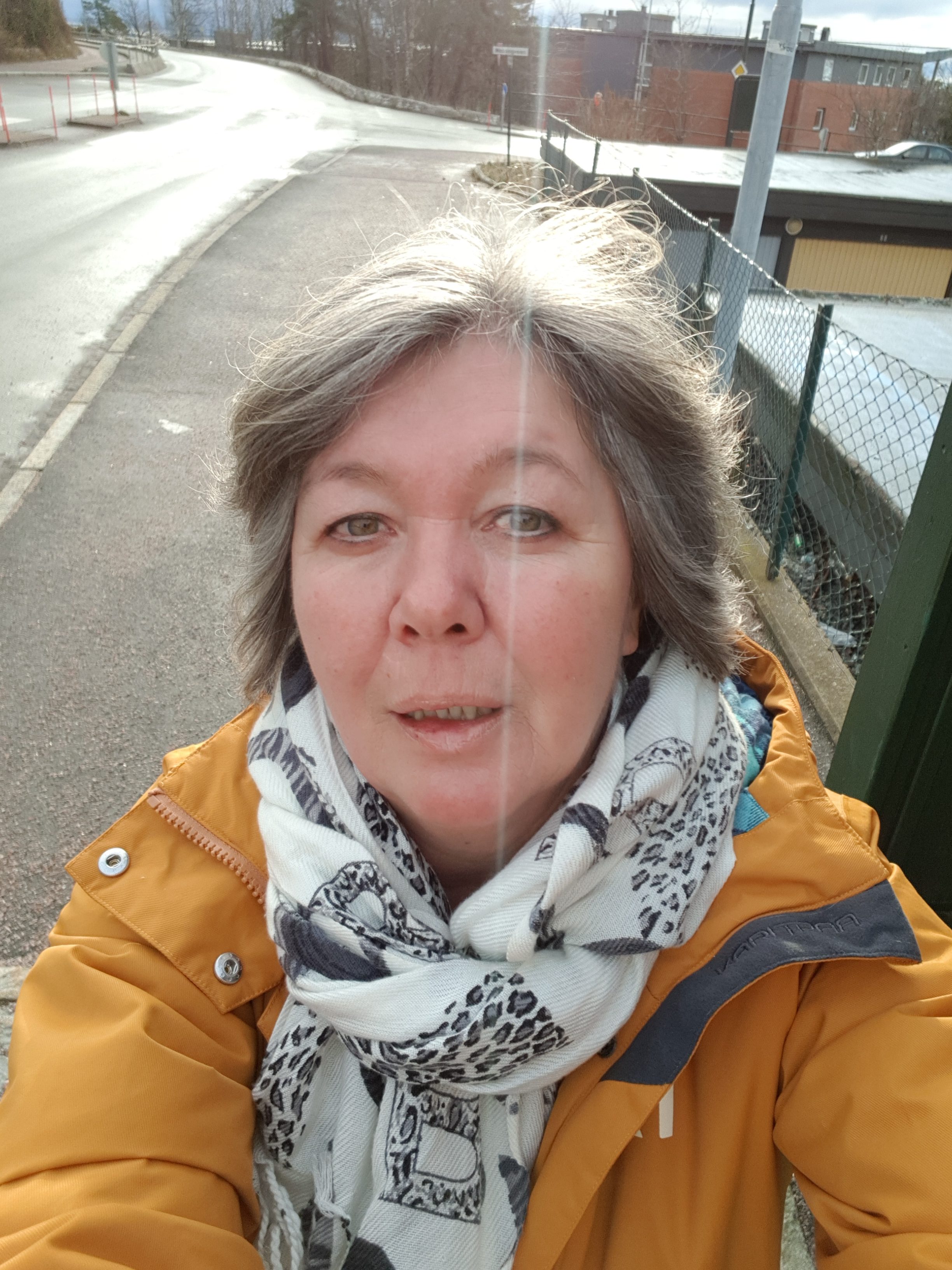 Anne Hammergren